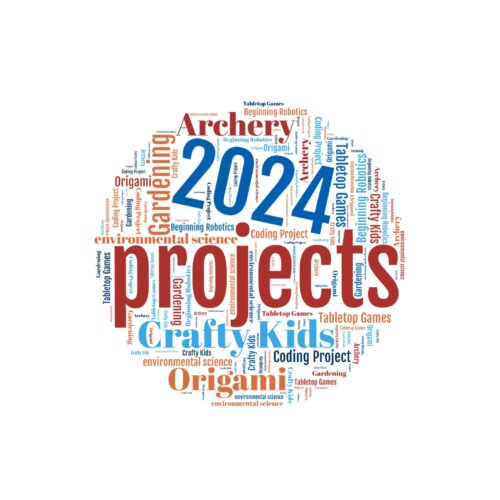 Projects for the 2024-25 4-H year