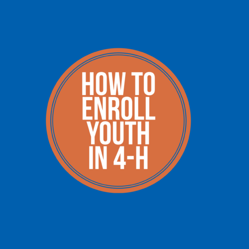 How to enroll your child in East Hills 4-H